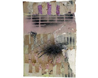 Many windows and one entry / Nombreuses fenêtres et une entrée