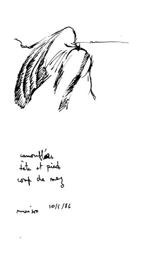 from apr 1986 to may 1986