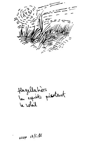 from apr 1986 to may 1986