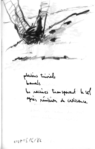 from may 1986 to aug 1986