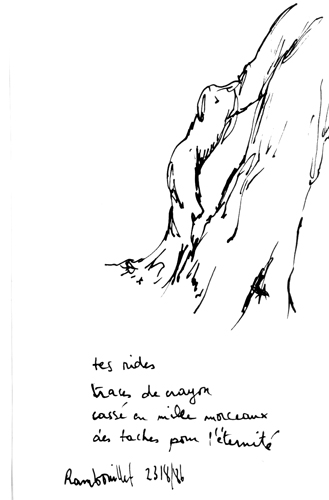 from aug 1986 to sep 1986