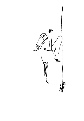 from aug 1987 to dec 1987