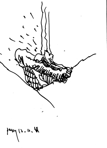 from sep 1988 to mar 1989