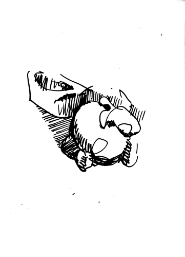 from sep 1988 to mar 1989